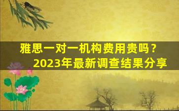 雅思一对一机构费用贵吗？ 2023年最新调查结果分享